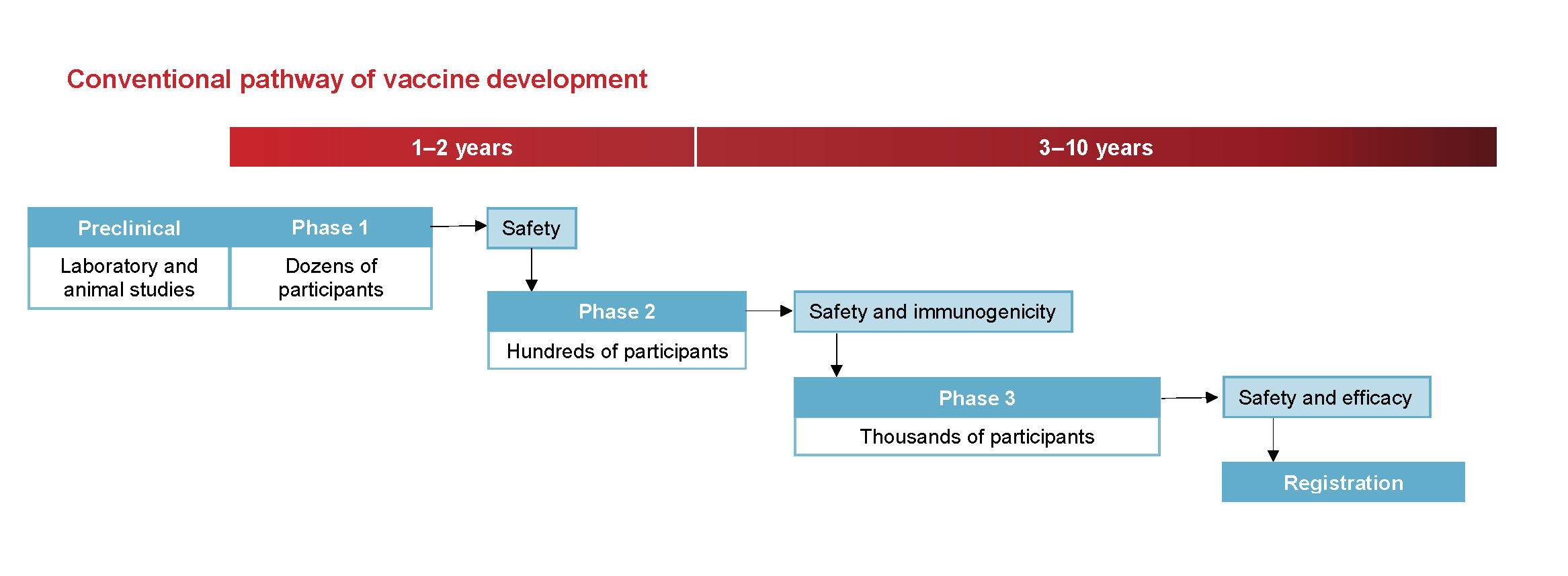 Phases of clinical trials | NCIRS